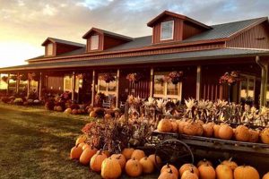 Your Harvestville Farm: Local & Sustainable Farming | The Conscious Farmer | Sustainable Agriculture for a Healthier Planet
