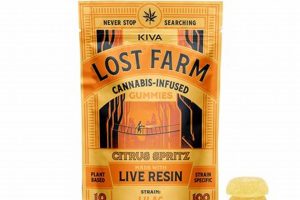 Preventing Kiva Lost Farms: Farming Success Tips | The Conscious Farmer | Sustainable Agriculture for a Healthier Planet