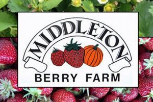Visit Middleton Berry Farm: A Berry Good Time! | The Conscious Farmer | Sustainable Agriculture for a Healthier Planet