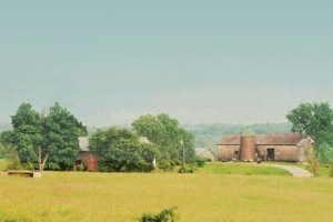 Discover South Pond Farms Location & Nearby Farms | The Conscious Farmer | Sustainable Agriculture for a Healthier Planet