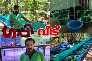 Guppy Farming: What a Farmer Decides + Tips | The Conscious Farmer | Sustainable Agriculture for a Healthier Planet