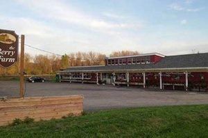 Visit The Berry Farm Chatham NY: Fresh, Local! | The Conscious Farmer | Sustainable Agriculture for a Healthier Planet