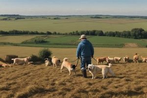 Is Fresh Food Worth It? How Much Does Farmer's Dog Cost? | The Conscious Farmer | Sustainable Agriculture for a Healthier Planet