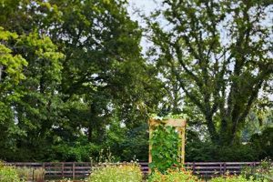 Discover Alabama's 1818 Farms: A Farming Legacy | The Conscious Farmer | Sustainable Agriculture for a Healthier Planet