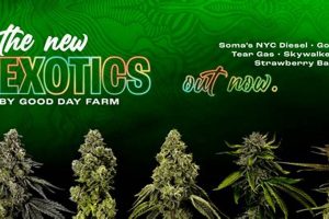 Good Day Farms: Kennett MO Cannabis & More! | The Conscious Farmer | Sustainable Agriculture for a Healthier Planet