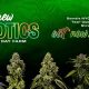 Good Day Farms: Kennett MO Cannabis & More! | The Conscious Farmer | Sustainable Agriculture for a Healthier Planet