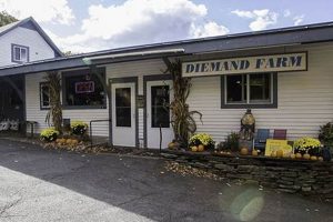 Your Diemand Farm: Local Farming, Fresh Food | The Conscious Farmer | Sustainable Agriculture for a Healthier Planet
