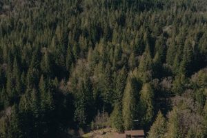 Discover: Forest Farms Oregon - Sustainable Farming | The Conscious Farmer | Sustainable Agriculture for a Healthier Planet