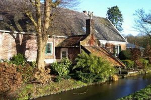 Explore Old Dutch Farms: Heritage & Farming Legacy | The Conscious Farmer | Sustainable Agriculture for a Healthier Planet