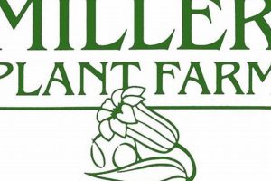 Grow with Us: Miller's Plant Farm for Your Garden | The Conscious Farmer | Sustainable Agriculture for a Healthier Planet