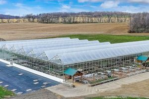 Discover Fitchburg Farms WI: Your Local Farming Guide | The Conscious Farmer | Sustainable Agriculture for a Healthier Planet