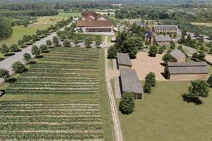 Discover Davidson Farms: Fresh & Local | The Conscious Farmer | Sustainable Agriculture for a Healthier Planet