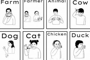 ASL Signs: Farming the Land with the Farm Sign | The Conscious Farmer | Sustainable Agriculture for a Healthier Planet
