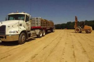 Grow Your Dreams: Central Sod Farm Turf for You The Conscious Farmer | Sustainable Agriculture for a Healthier Planet Grow Your Dreams: Central Sod Farm Turf for You | The Conscious Farmer | Sustainable Agriculture for a Healthier Planet