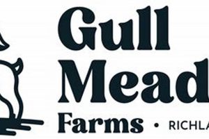 Visit Gull Meadow Farm: Your Local Family Fun! | The Conscious Farmer | Sustainable Agriculture for a Healthier Planet