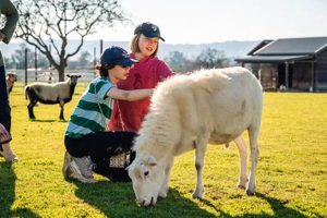Compassionate Charlie's Acres Farm Animal Sanctuary: A Safe Haven | The Conscious Farmer | Sustainable Agriculture for a Healthier Planet