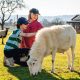 Compassionate Charlie's Acres Farm Animal Sanctuary: A Safe Haven | The Conscious Farmer | Sustainable Agriculture for a Healthier Planet