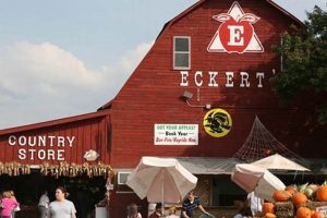 Visit Eckert's Farm Grafton: Pick-Your-Own Fun & More! | The Conscious Farmer | Sustainable Agriculture for a Healthier Planet