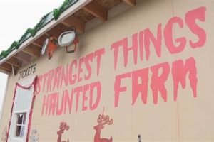 Farm's Strangest Things: Haunted Farm Tales & Mysteries | The Conscious Farmer | Sustainable Agriculture for a Healthier Planet