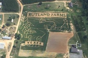 Discover Rutland Farms: Fresh & Local Produce | The Conscious Farmer | Sustainable Agriculture for a Healthier Planet