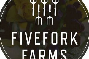 Discover Fivefork Farms: Local Crossroads Farming | The Conscious Farmer | Sustainable Agriculture for a Healthier Planet