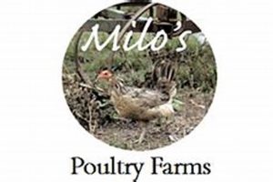 Milo's Poultry Farms: Efficient Farming Guide! | The Conscious Farmer | Sustainable Agriculture for a Healthier Planet