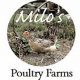 Milo's Poultry Farms: Efficient Farming Guide! | The Conscious Farmer | Sustainable Agriculture for a Healthier Planet