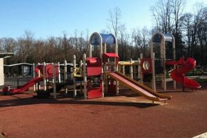 Visit Hoyt Farm Today: Family Fun Awaits! | The Conscious Farmer | Sustainable Agriculture for a Healthier Planet