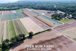 Discover Deer Run Farm: Your Local Farming Escape | The Conscious Farmer | Sustainable Agriculture for a Healthier Planet