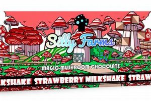 Farm to Bar: Mushrooms, Fitness, & Chocolate Delights! | The Conscious Farmer | Sustainable Agriculture for a Healthier Planet