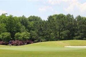 Farming & Farm D'Allie Golf Club: Tee Off Today! | The Conscious Farmer | Sustainable Agriculture for a Healthier Planet