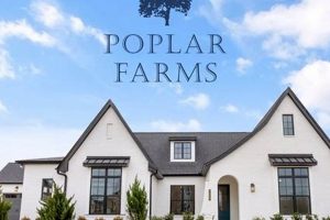 Exploring Poplar Farms: Sustainable Farming Ahead | The Conscious Farmer | Sustainable Agriculture for a Healthier Planet
