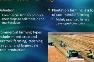 What is Commercial Farming? A Definition & More | The Conscious Farmer | Sustainable Agriculture for a Healthier Planet