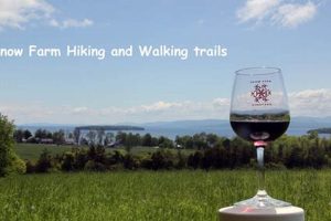 Growing a Snow Farm Vineyard: Wine Farming in the Snow | The Conscious Farmer | Sustainable Agriculture for a Healthier Planet