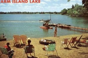 Farming Near Farm Island Lake, MN: A Guide | The Conscious Farmer | Sustainable Agriculture for a Healthier Planet