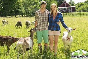 Beyond Big Picture Farm: Holistic Farming Today | The Conscious Farmer | Sustainable Agriculture for a Healthier Planet