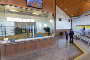 Visit Farm Wisconsin Discovery Center: Explore Farming Fun! | The Conscious Farmer | Sustainable Agriculture for a Healthier Planet