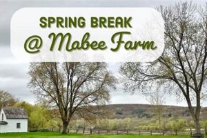 Discover Mabee Farm History: A Heritage Farming Legacy | The Conscious Farmer | Sustainable Agriculture for a Healthier Planet