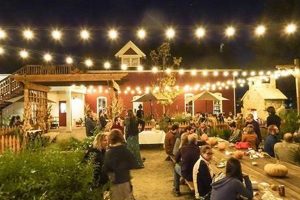 Visiting Jessup Farm: A Family Farming Adventure! | The Conscious Farmer | Sustainable Agriculture for a Healthier Planet