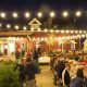 Visiting Jessup Farm: A Family Farming Adventure! | The Conscious Farmer | Sustainable Agriculture for a Healthier Planet