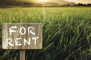 Find Farm Land for Rent Near You: [Location] Farms | The Conscious Farmer | Sustainable Agriculture for a Healthier Planet