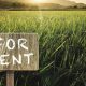 Find Farm Land for Rent Near You: [Location] Farms | The Conscious Farmer | Sustainable Agriculture for a Healthier Planet