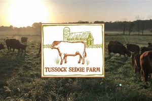 Growing a Better World: Tussock Sedge Farm Guide | The Conscious Farmer | Sustainable Agriculture for a Healthier Planet
