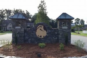 Discover Greystone Farms: Sustainable Farming Excellence | The Conscious Farmer | Sustainable Agriculture for a Healthier Planet