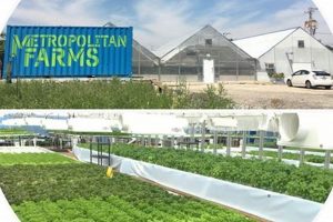 Guide to Metropolitan Farms in Chicago for Urban Farming | The Conscious Farmer | Sustainable Agriculture for a Healthier Planet
