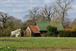 Grow Your Business: Prospect Farm Secrets Unveiled | The Conscious Farmer | Sustainable Agriculture for a Healthier Planet
