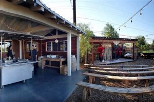 Best Riverbed Farm Guide: Sustainable Farming Tips | The Conscious Farmer | Sustainable Agriculture for a Healthier Planet