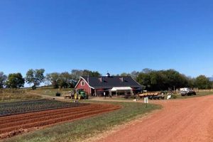 Visit Liberty Mills Farm Somerset VA: A Farming Guide | The Conscious Farmer | Sustainable Agriculture for a Healthier Planet