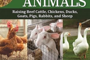 Beyond Chickens: Unique Hobby Farm Animals Guide | The Conscious Farmer | Sustainable Agriculture for a Healthier Planet