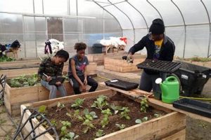 Grow More: Micro Farming Tips &amp; Secrets | The Conscious Farmer | Sustainable Agriculture for a Healthier Planet